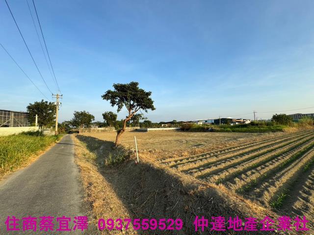 歸仁農地-2