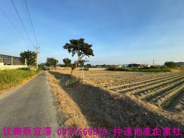 歸仁農地-6