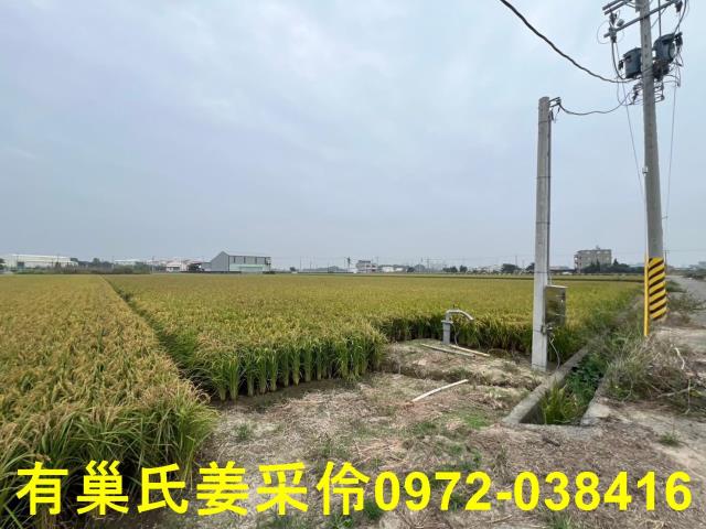 嘉義民雄農地-11