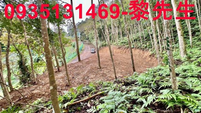 新竹橫山農地-14