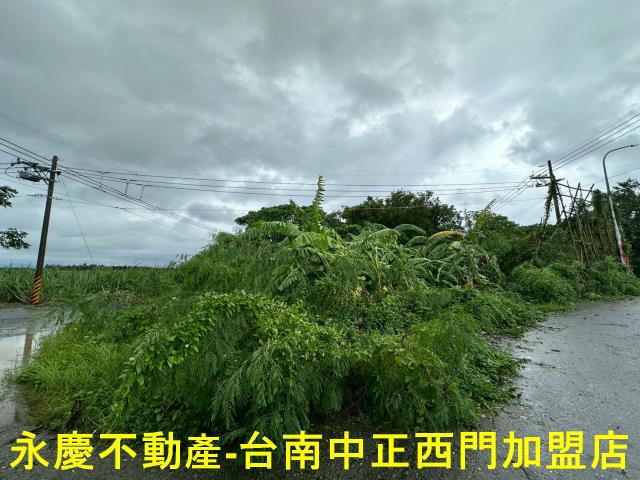 台南山上農地-10