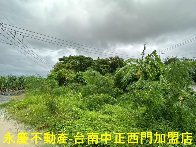 台南山上農地-2