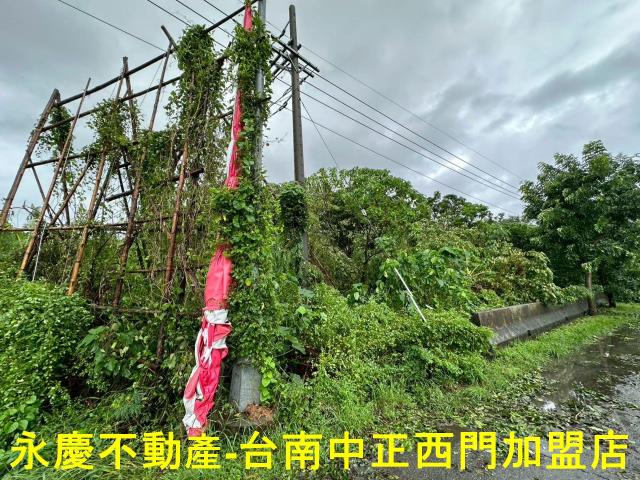 台南山上農地-7
