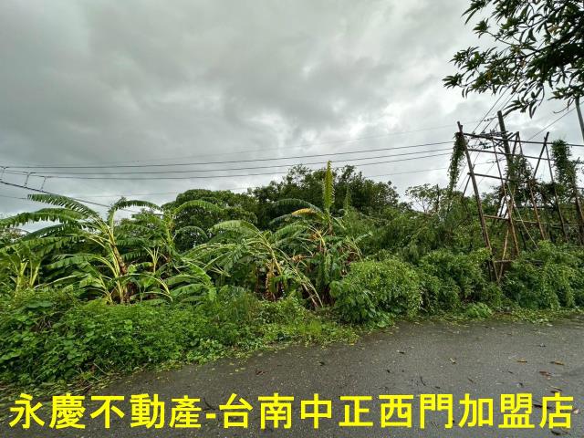 台南山上農地-9