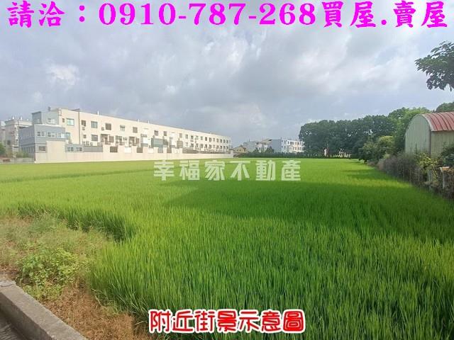 台南六甲農地-13