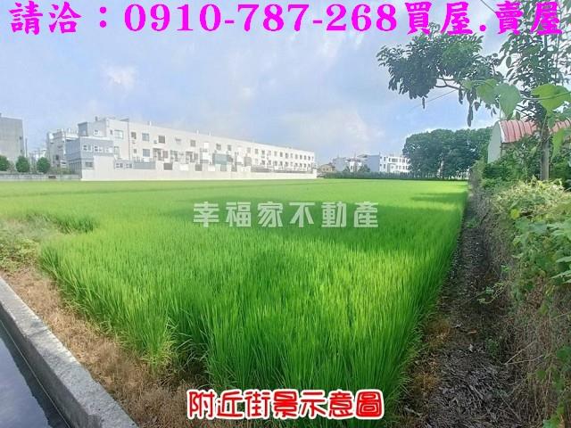 台南六甲農地-4