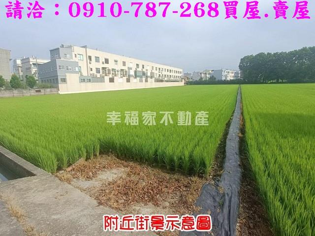 台南六甲農地-5