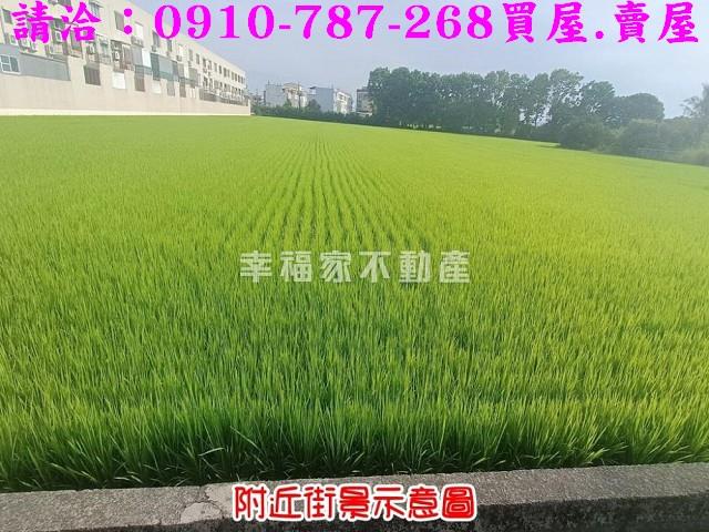 台南六甲農地-8