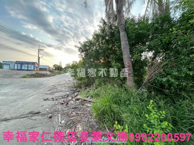 安南農地-8