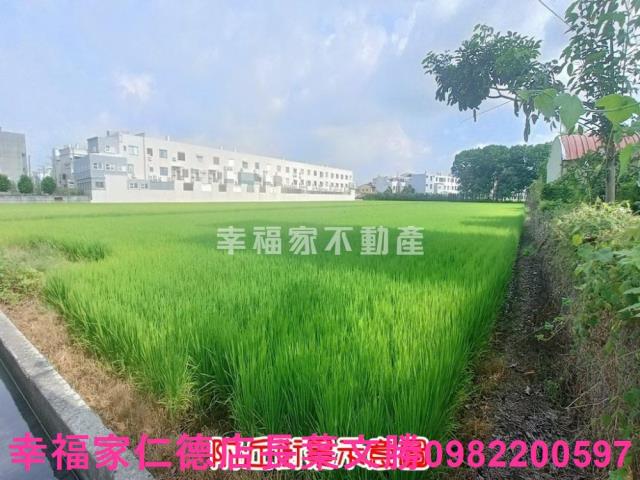 六甲農地-10