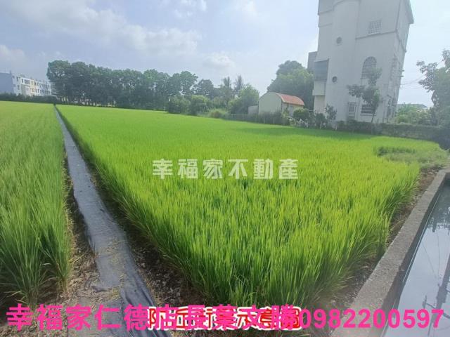 六甲農地-14