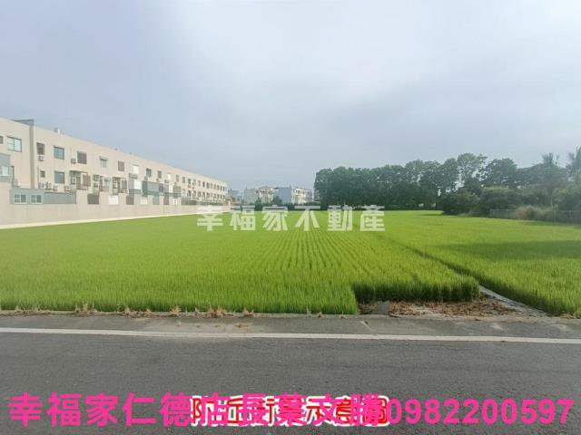 六甲農地-2
