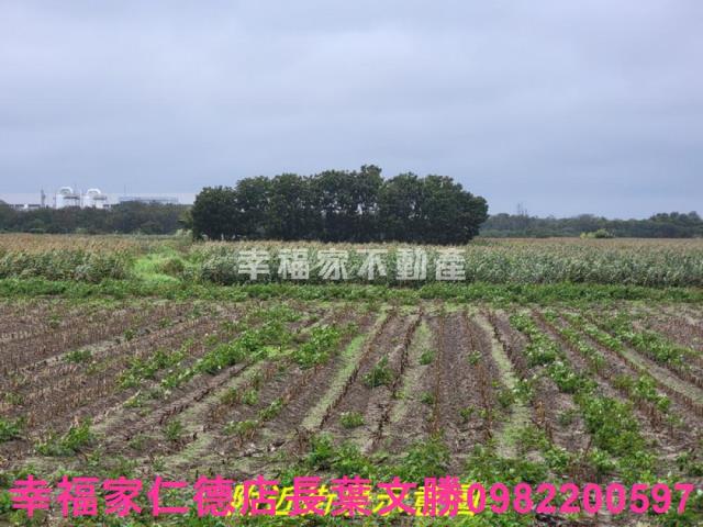 新市農地-5