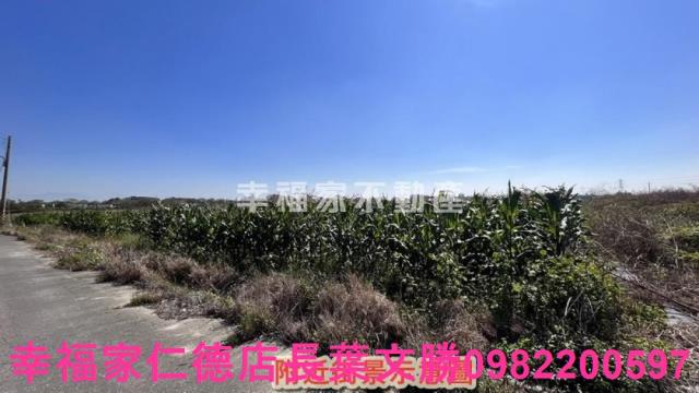 新營農地-2
