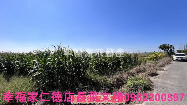 新營農地-6