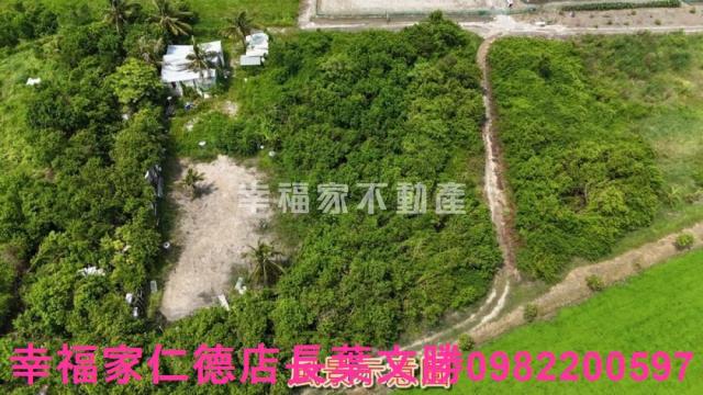 台南安南農地-5