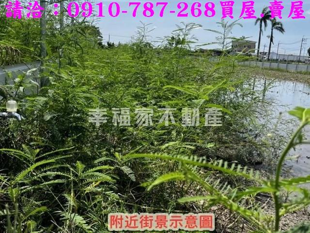 台南安定農地-7