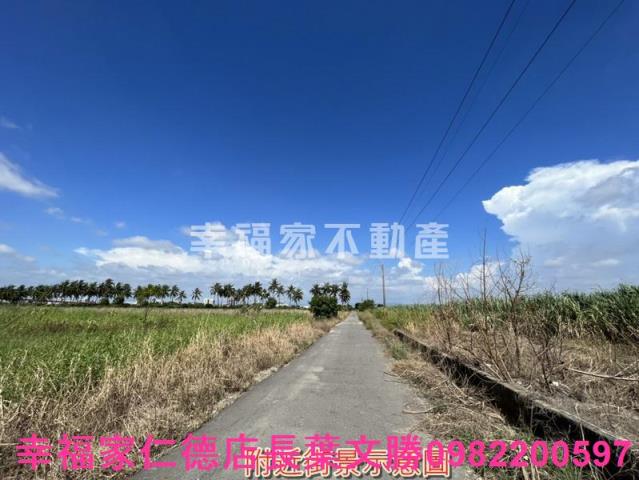 台南新市農地-11
