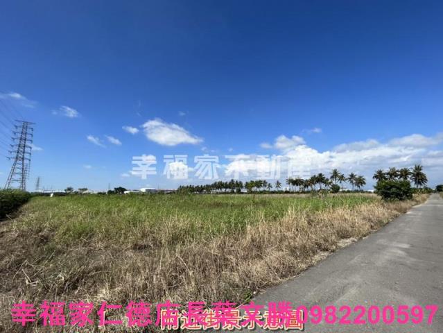 台南新市農地-15