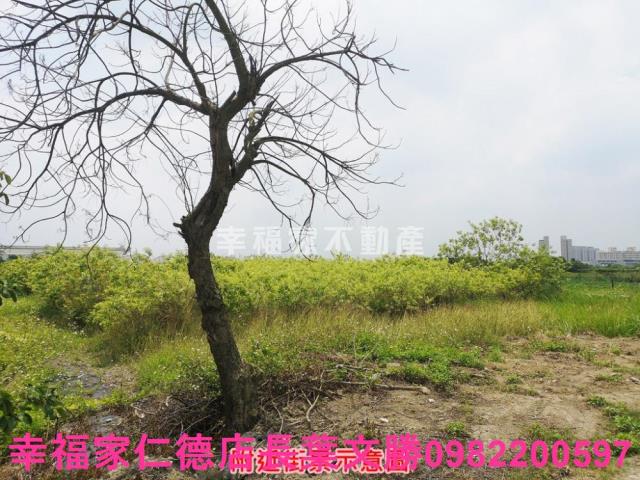台南善化農地-5