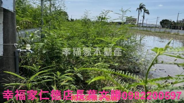 安定農地-11
