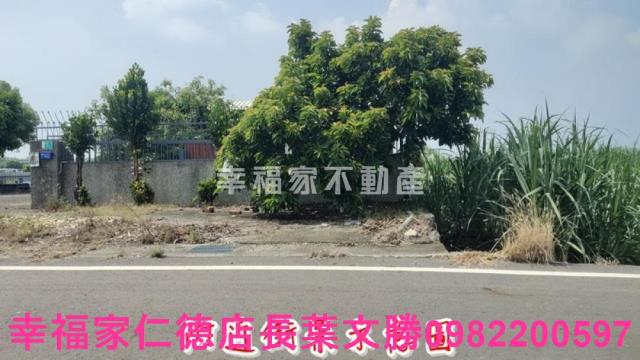 善化農地-15