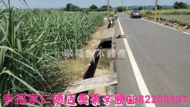 善化農地-2