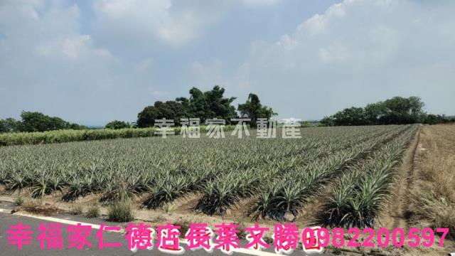 善化農地-6
