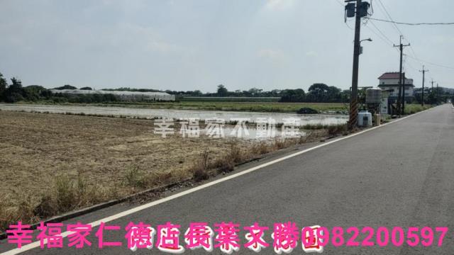 善化農地-8
