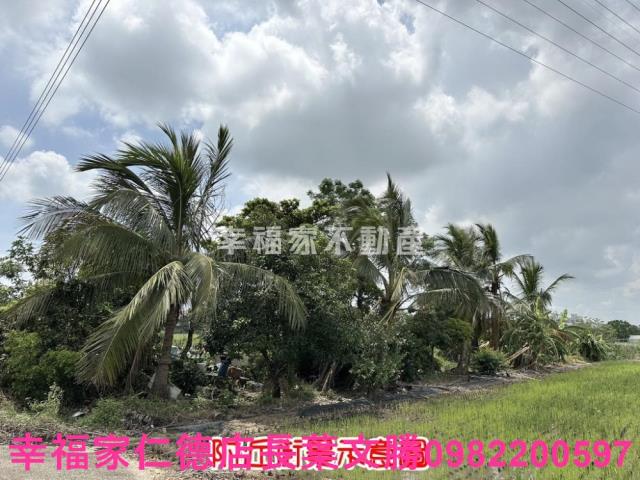 善化農地-3