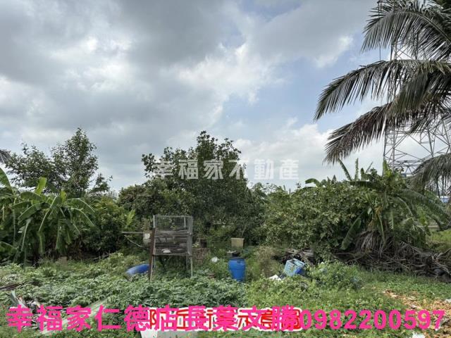 善化農地-7