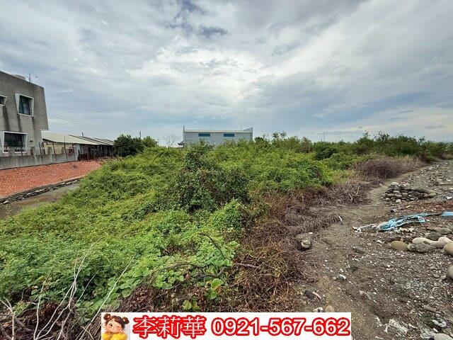 仁德農地-5