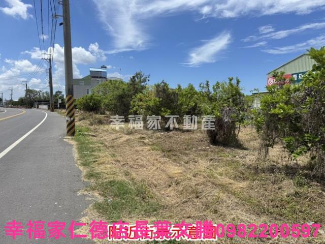 麻豆農地-3