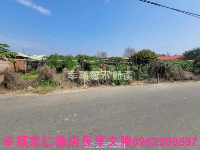台南仁德農地-10
