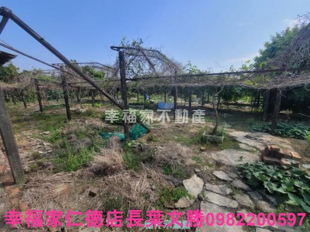 台南仁德農地-14