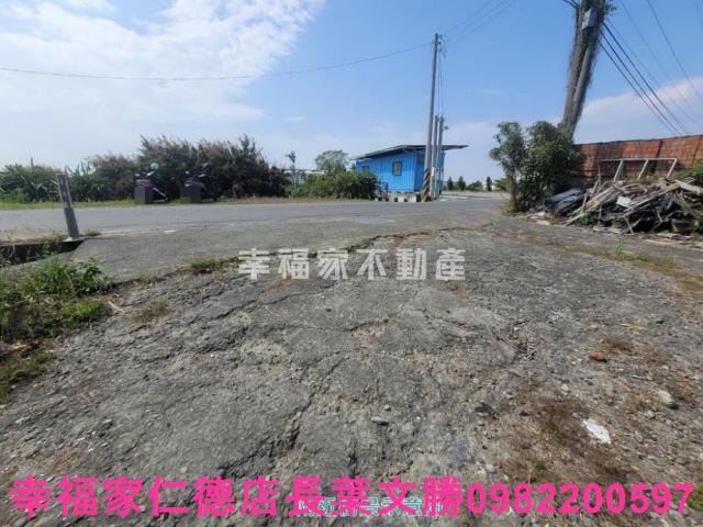 台南仁德農地-4