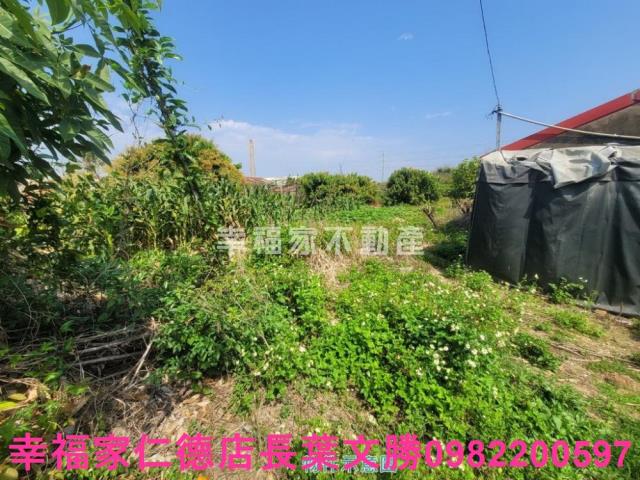台南仁德農地-9