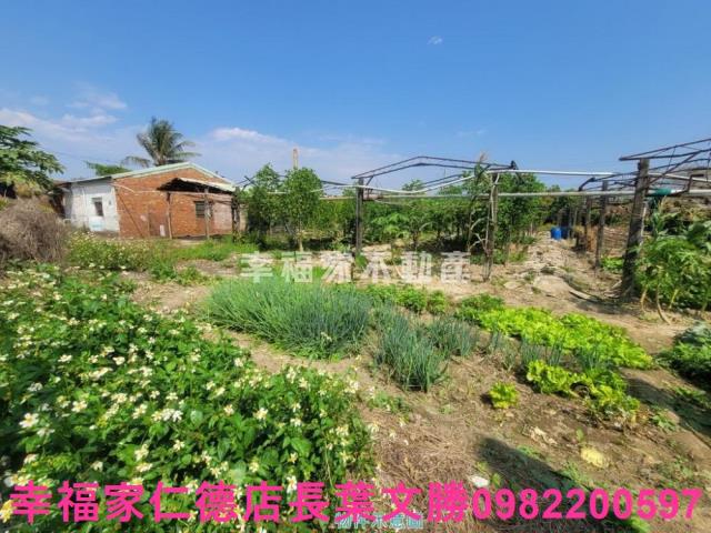 台南仁德農地-9