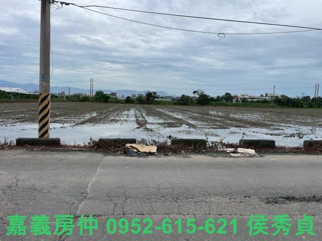 嘉義民雄農地-3