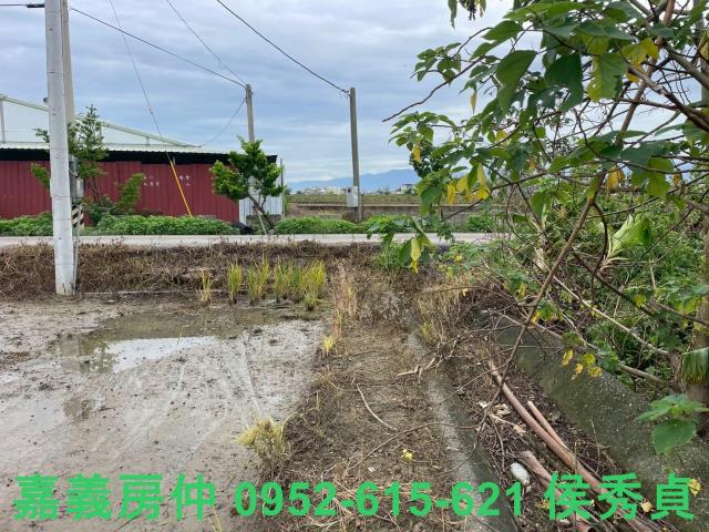 嘉義民雄農地-6