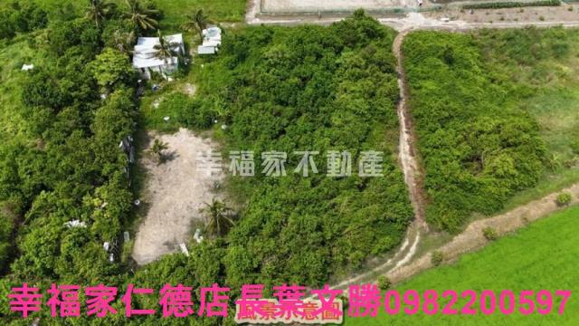 安南農地-8
