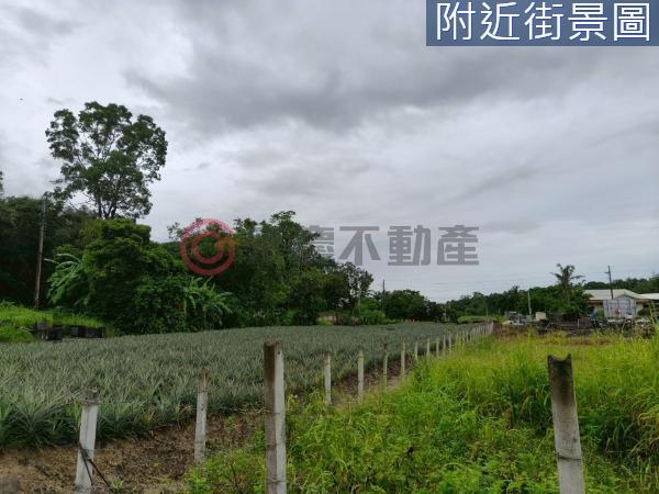 台南農地-8
