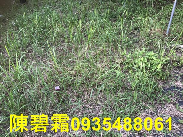 台南農地-1