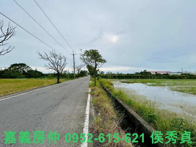 嘉義農地-4