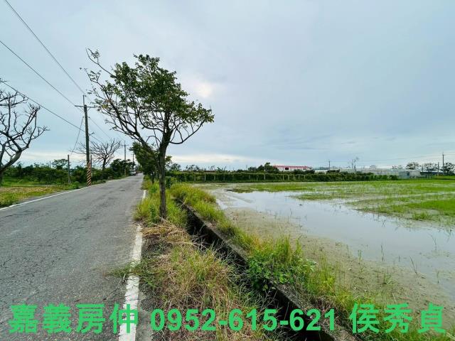 嘉義農地-5