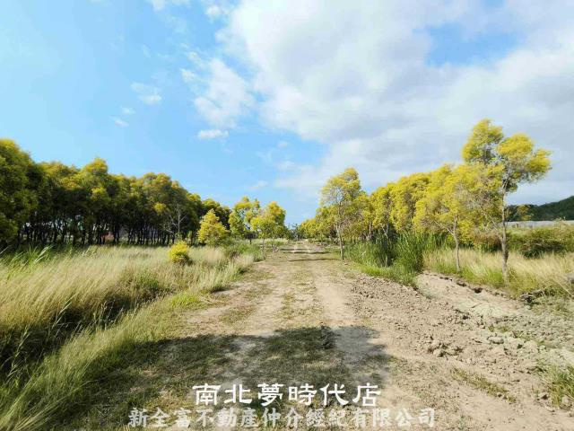 台南六甲農地-10