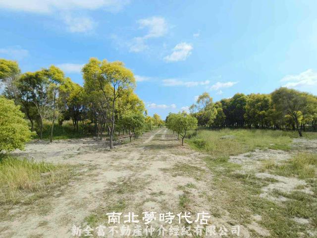 台南六甲農地-3
