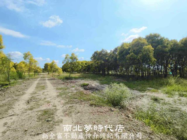 台南六甲農地-4