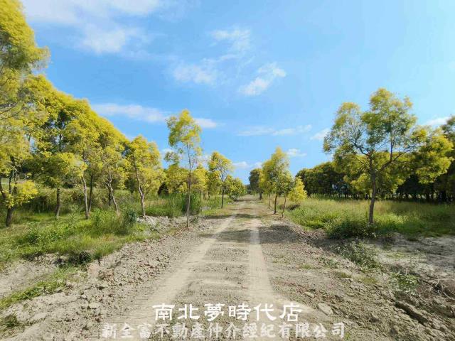 台南六甲農地-5