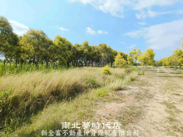台南六甲農地-7